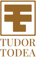 logo-TT